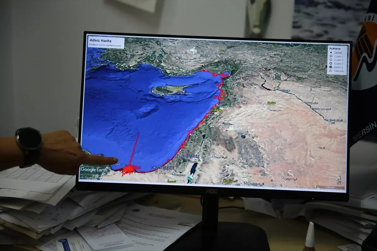 Mersin'deki Deniz Kaplumbağası Mısır'a Ulaştı, Kızkalesi'nden Sinyal Kesildi