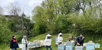 Yığılca'da Hayvan Genetik Kaynaklarının Korunması Projesi Başlatıldı