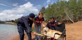 Yozgat'ta 13 Yıl Görev Yapan İz Takip Köpeği Dost Emekli Oldu