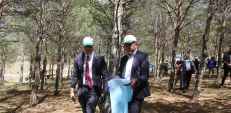 Zara'da Orman Yangınlarına Karşı 'Orman Benim' Etkinliği Düzenlendi