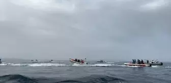 Zıpkınla Balık Avı Kulüpler Arası Türkiye Şampiyonası Tamamlandı
