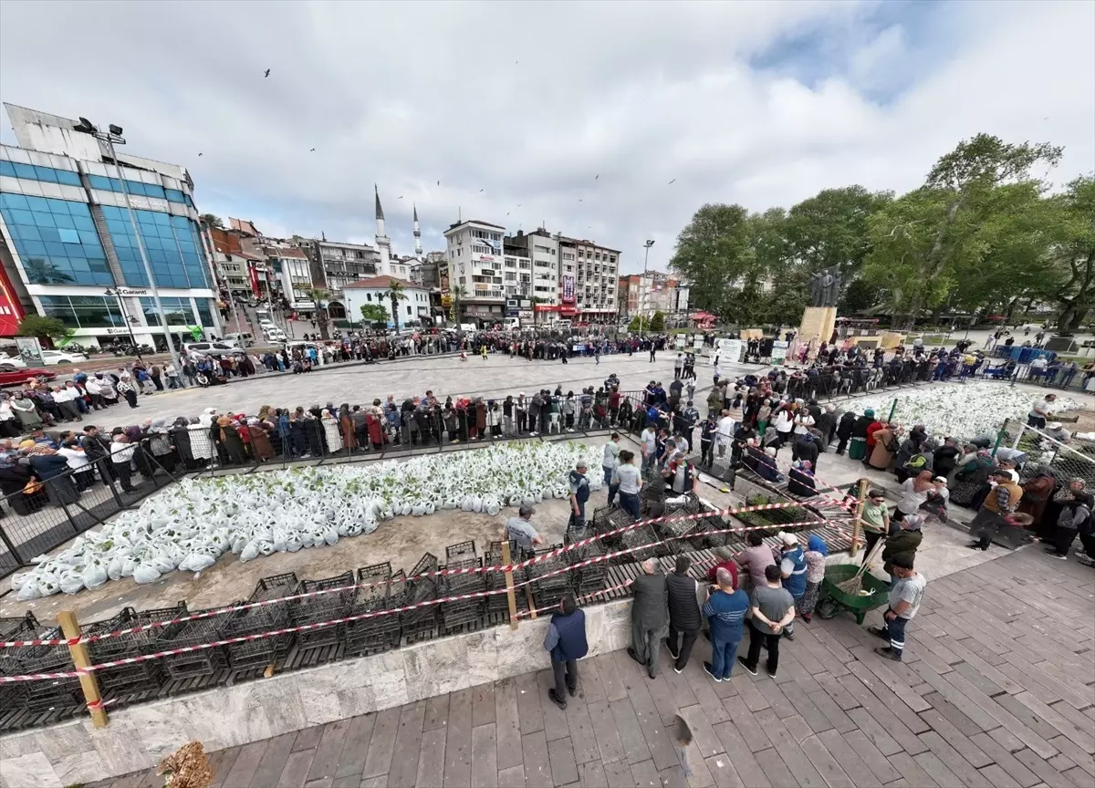 Karadeniz Ereğli'de 350 Bin Sebze Fidesi Dağıtıldı