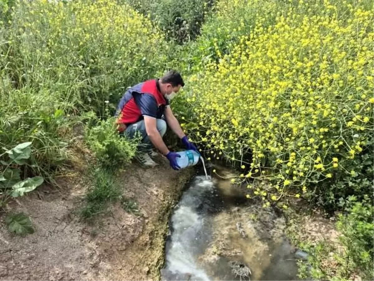 Çanakkale'de Sivrisinek Mücadelesi Başlatıldı