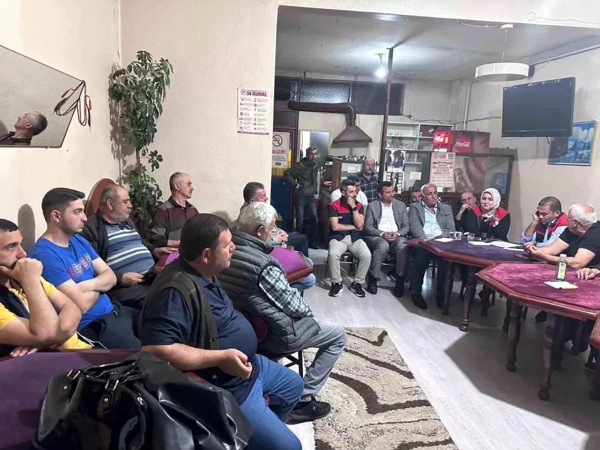 Düzce'de Konuralp Pirinci Üretiminde Yeni Çalışmalar