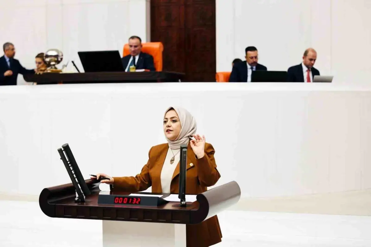 Denizli Milletvekili Sema Silkin Ün'den 2024 Bütçesi Eleştirisi