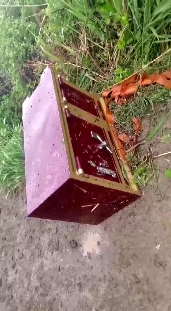 Their relatives stole a safe full of gold! The oldest is 20 years old