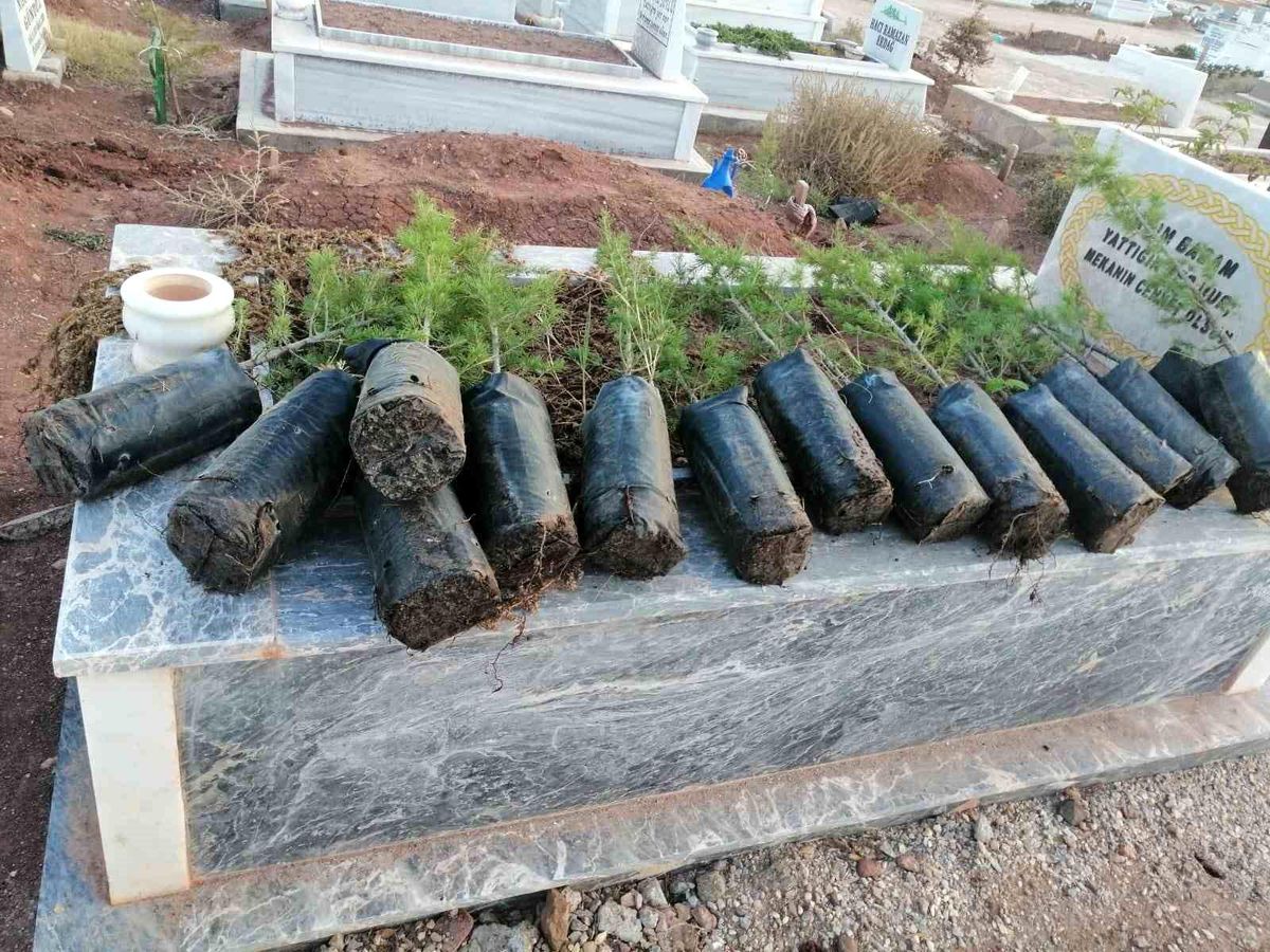 Eskişehir'de Hayırseverler Anneler Günü'nde Mezarlıklara Fidan Dikti