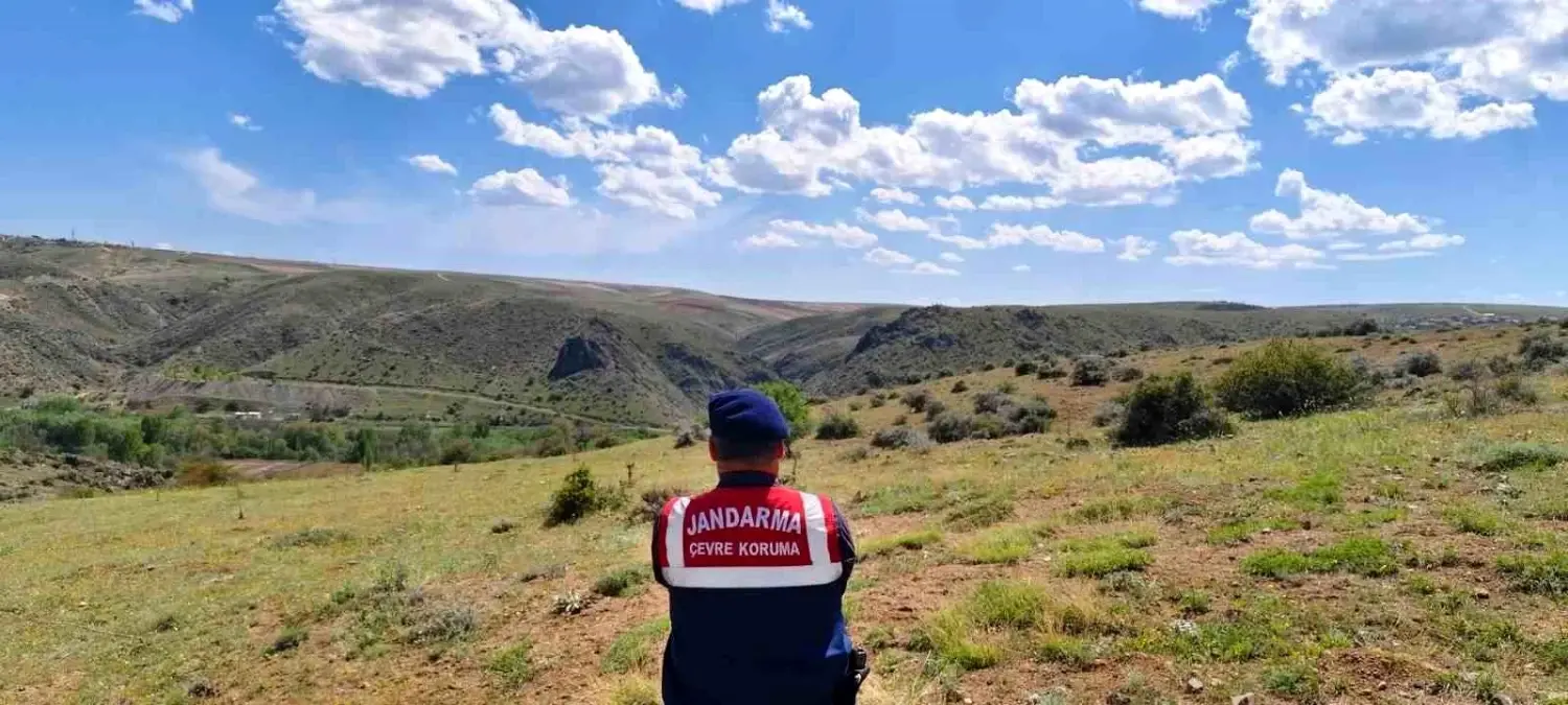 Yozgat'ta Biyokaçakçılık Denetimi ve Doğa Koruma Çalışmaları