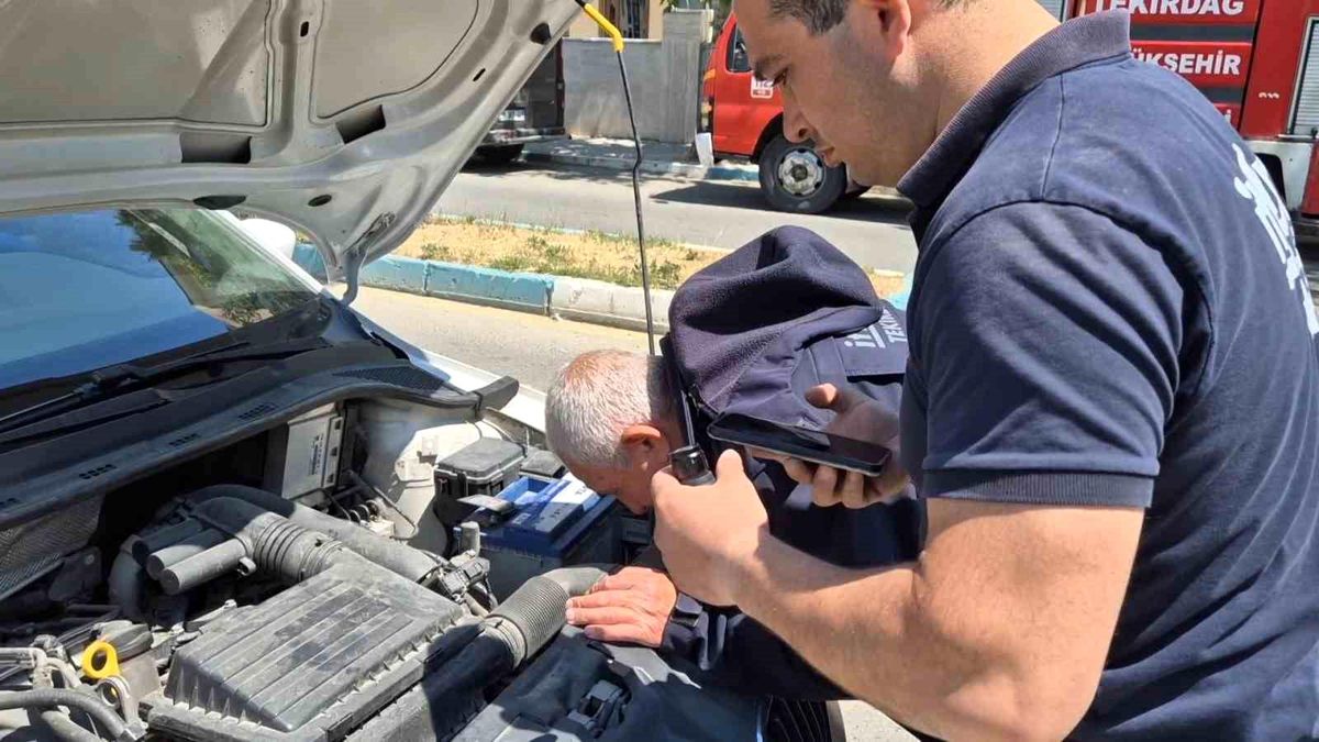 Tekirdağ'da Minik Kedi Kurtarma Operasyonu