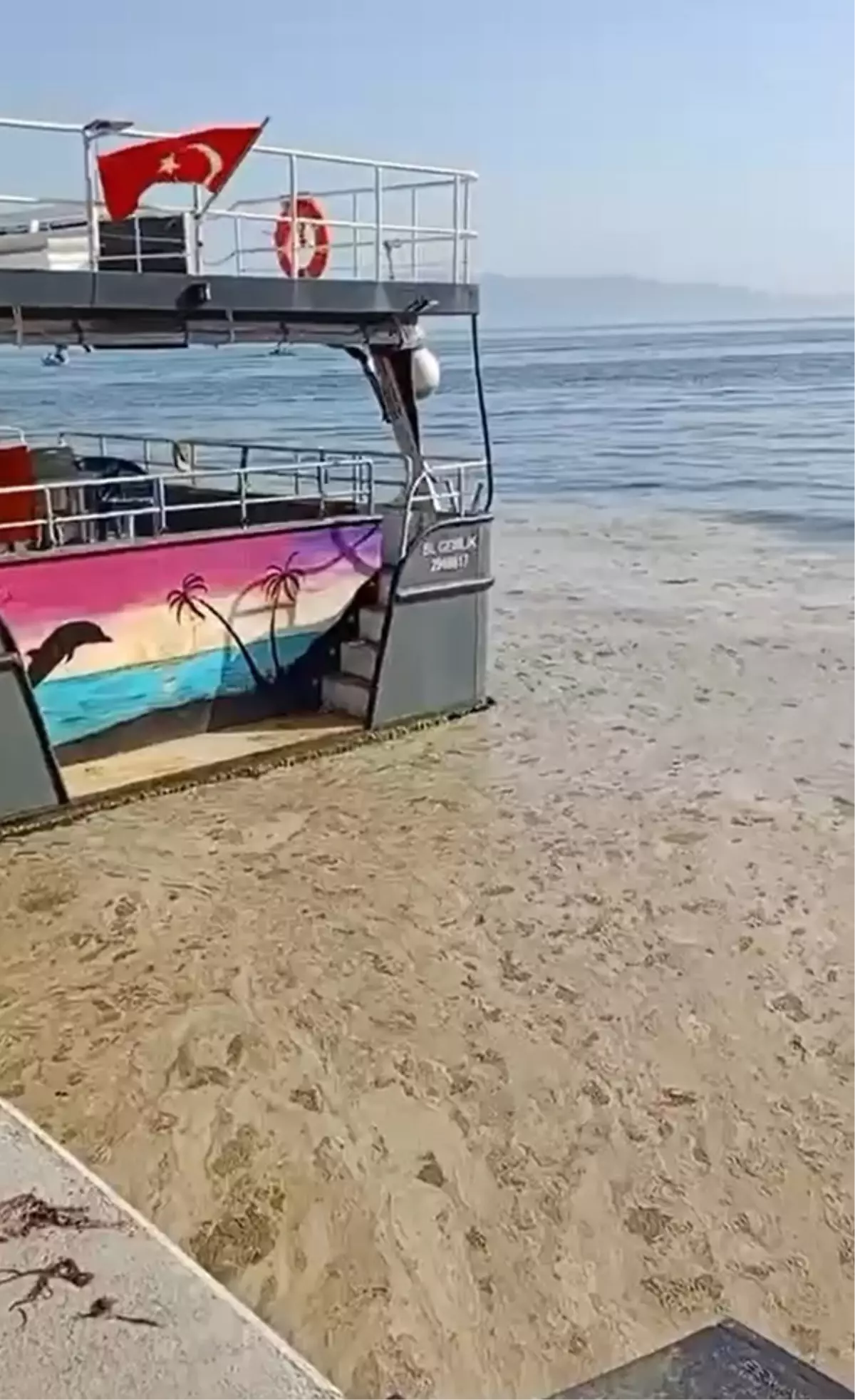 Gemlik Körfezi'nde Müsilaj Tehlikesi: Turistlerin ve Esnafın Endişesi