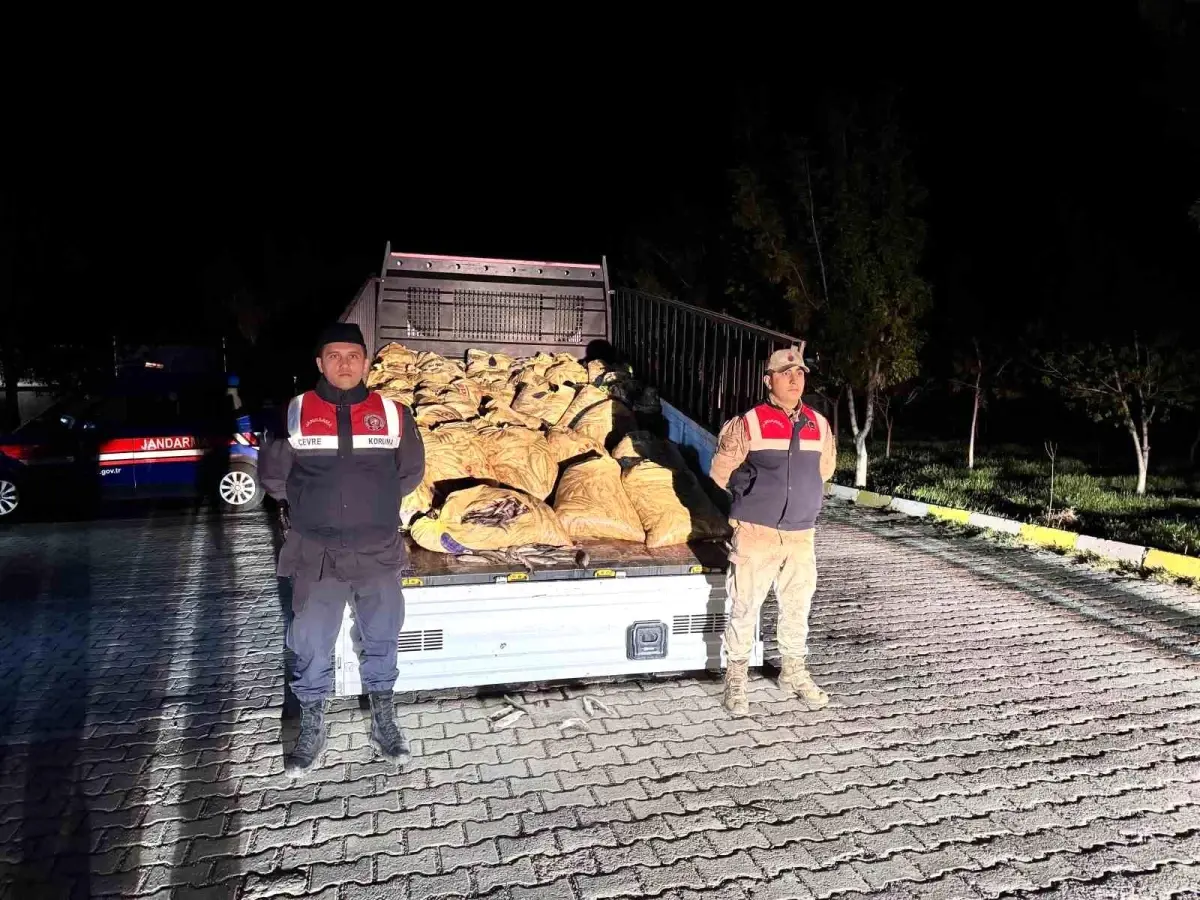 Van Gölü'nde Kaçak İnci Kefali Operasyonu: 3 Ton Balık Ele Geçirildi