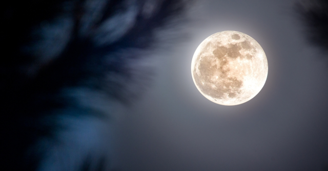 12 Mayıs Akrep Dolunayı burçlara etkisi! Akrep Dolunayı hangi burçları nasıl etkiler?