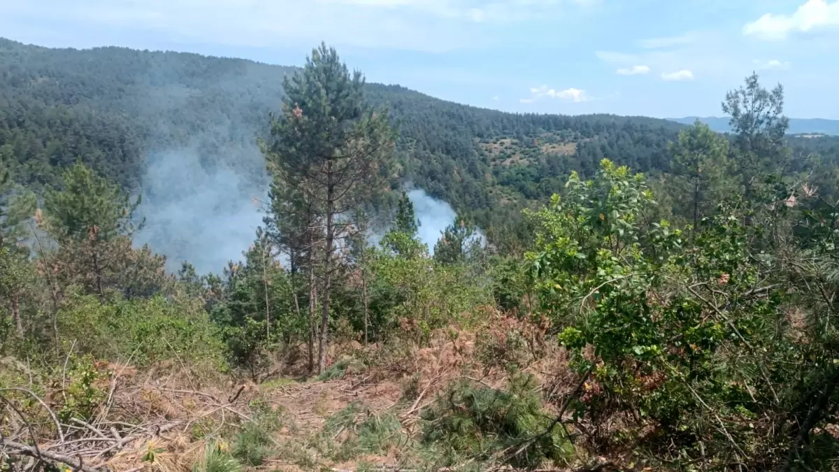 Çanakkale'nin Yenice İlçesinde Orman Yangını Kontrol Altına Alındı