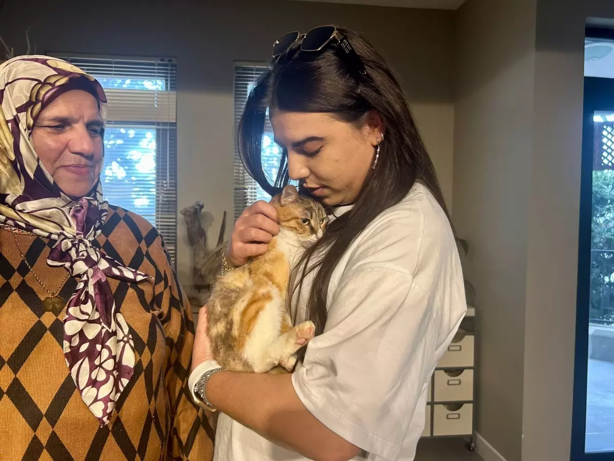 Depremzede Kedi Defne, Yeni Yuvasına Kavuştu