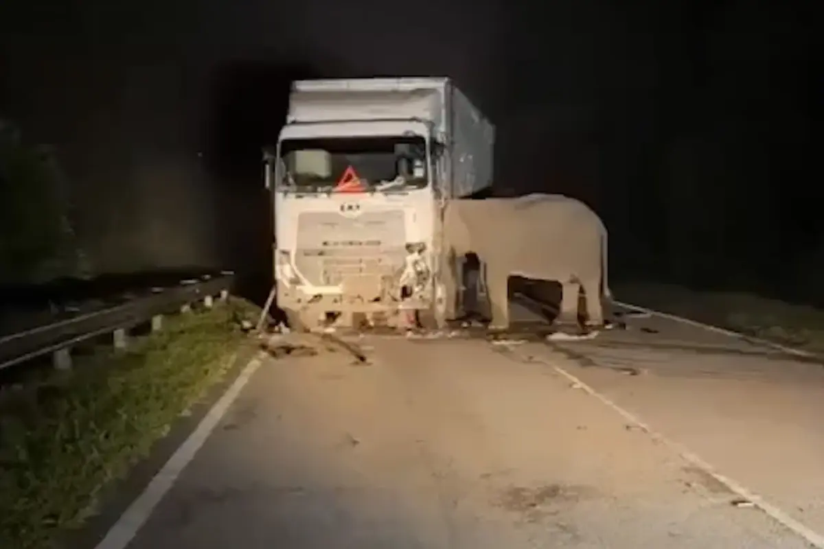 Gecenin karanlığında kahreden görüntü