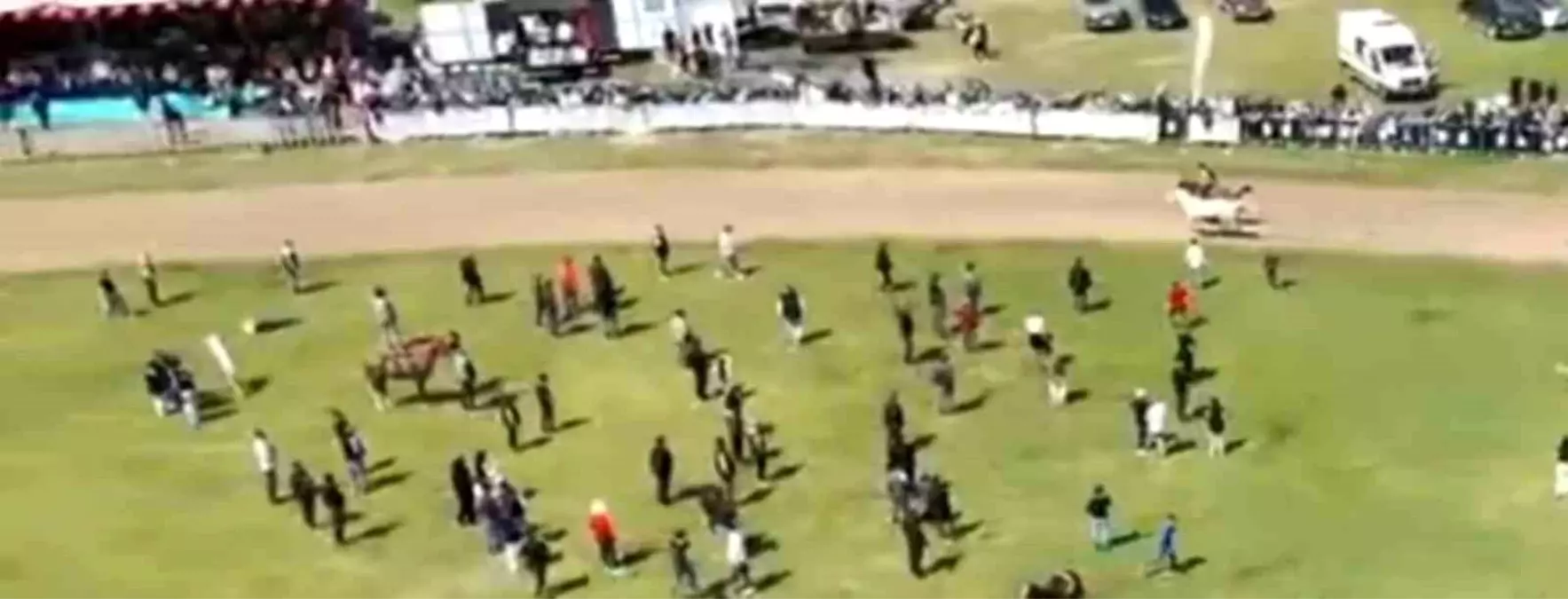 Jokeyini Atan At, Yarışı Birinci Tamamladı