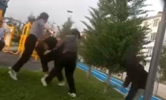 The Incident of Girls Beating Their School Friend Was Recorded on Video