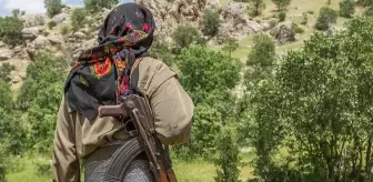Terör örgütü silahları nasıl bırakacak? BM gözetiminde bu 3 vilayette teslim edilecek