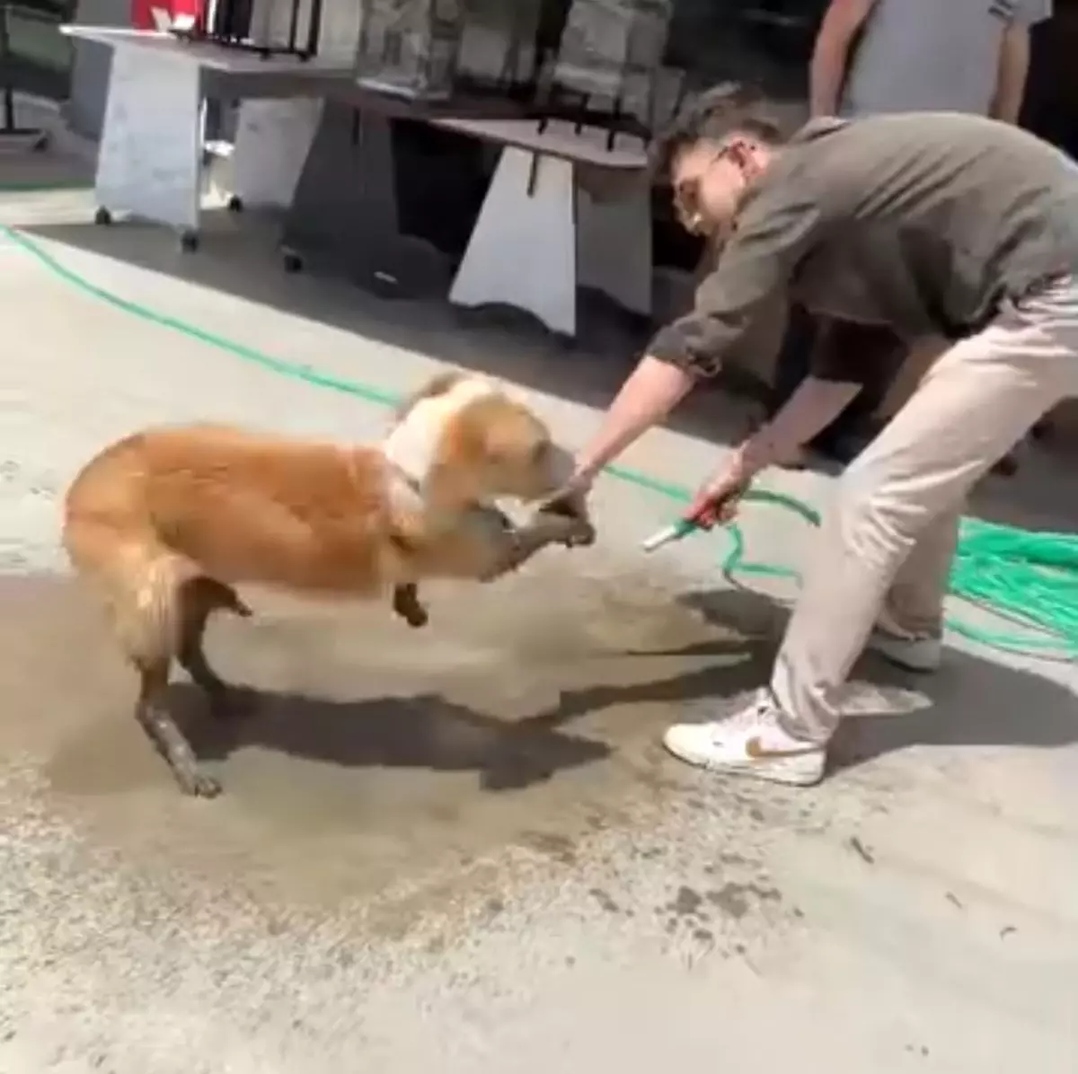 Betona Sıkışan Sokak Köpeği, Esnafın Yardımıyla Kurtarıldı