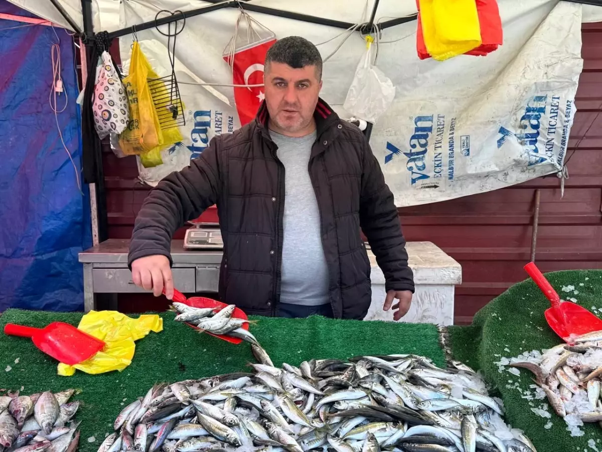 Zonguldaklı Balıkçı, Gelecek Sezon İçin Umutlu