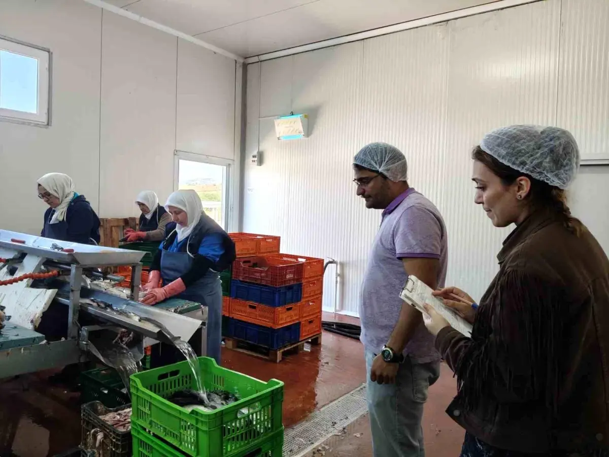 Beyşehir Gölü'nde Su Ürünleri Tesislerine Denetim