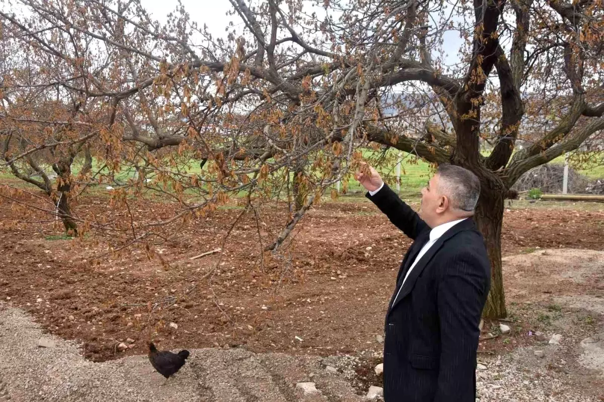 Malatya'daki Zirai Donun Ardından Destek Çağrısı