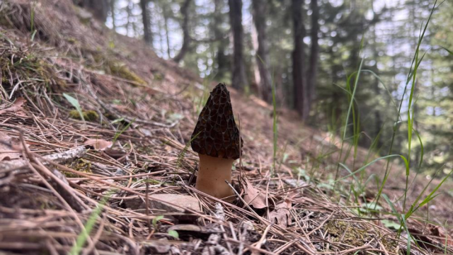 Collecting is a passion; if we found gold, we might not be this happy