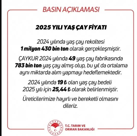 Yaş çay alım fiyatı kaç TL oldu 2025? Yaş çay alım fiyatı kaç TL oldu 2025?