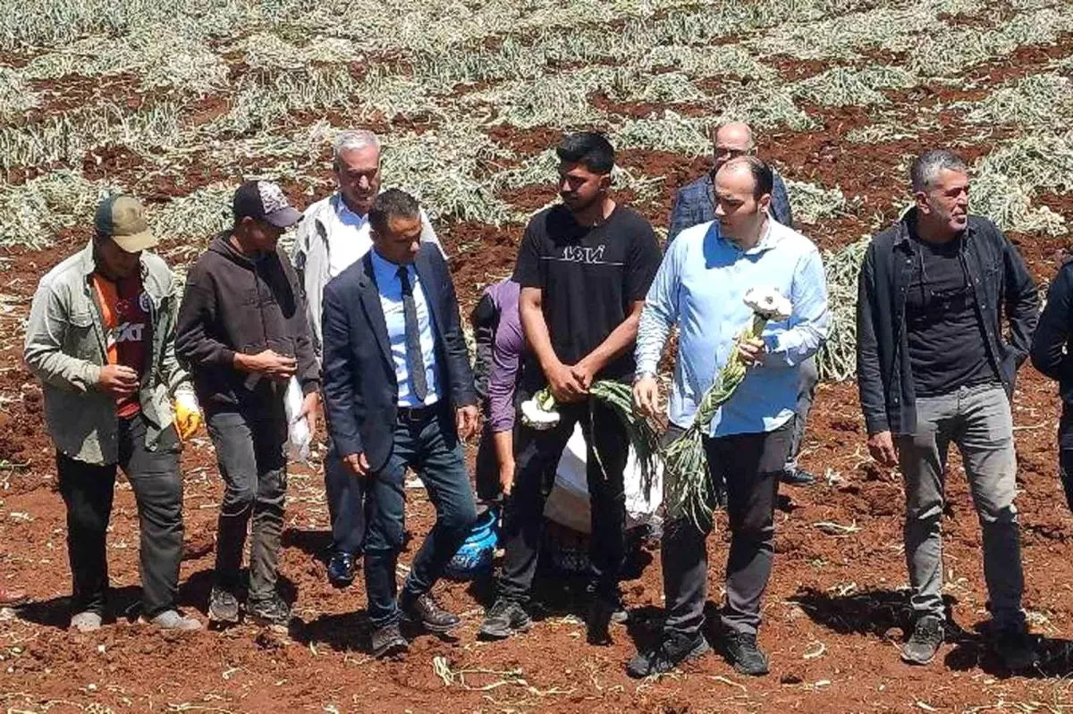 Gaziantep'te 14 Mayıs Dünya Çiftçiler Günü Kutlandı