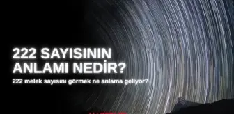 222 Melek sayısı ne demek? Melek sayıları nelerdir, 222 sayısını görmek ne anlama geliyor?