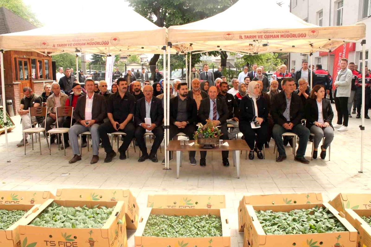 Düzce'de Fide Dağıtım Töreni ile Sebze Üretimi Artırılıyor
