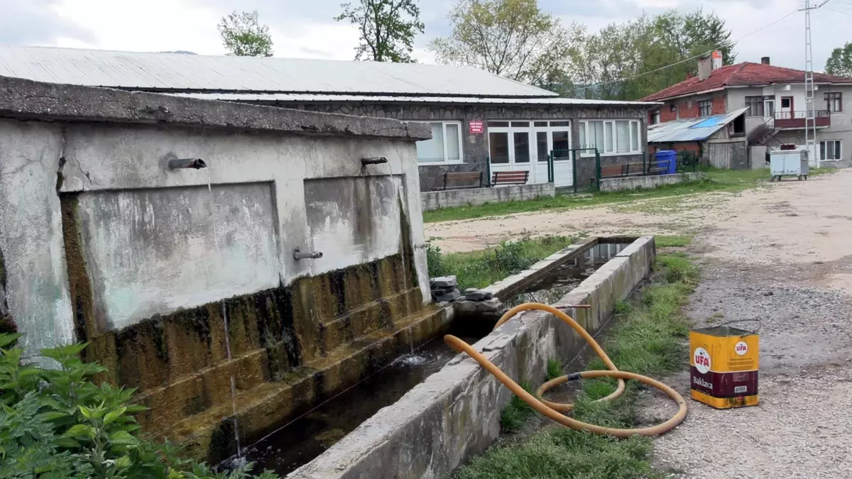 Bolu'da Su Kaynağından Zehirlenme İddiası
