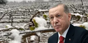 'Bu yıl sıkıntı yaşayacağız' diyen Cumhurbaşkanı Erdoğan, o ürünleri tek tek saydı