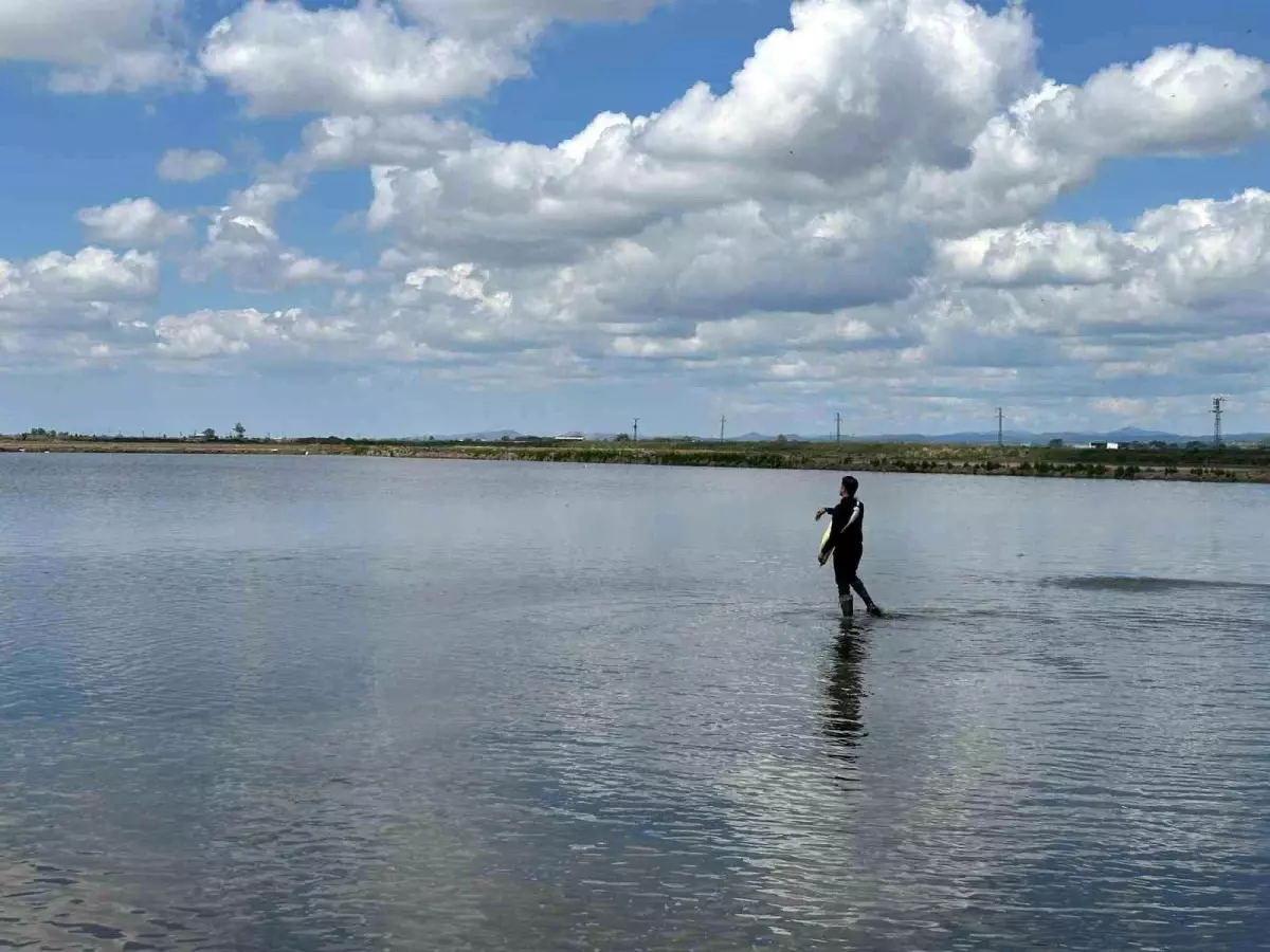 Edirne'de Dünya Çiftçiler Günü Çeltik Tohumlarıyla Kutlandı