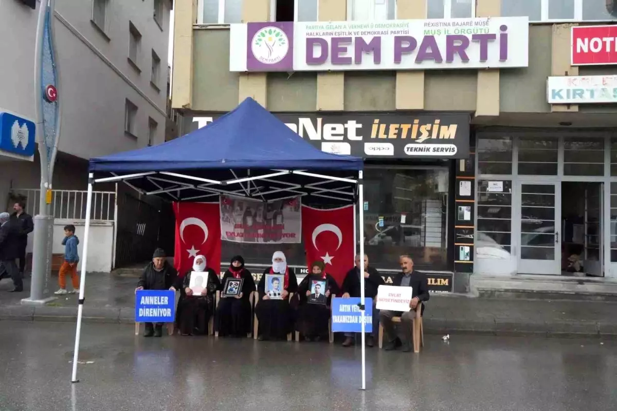 Evlat Nöbeti 196. Haftasında: Aileler PKK'nın Kararını Umutla Bekliyor