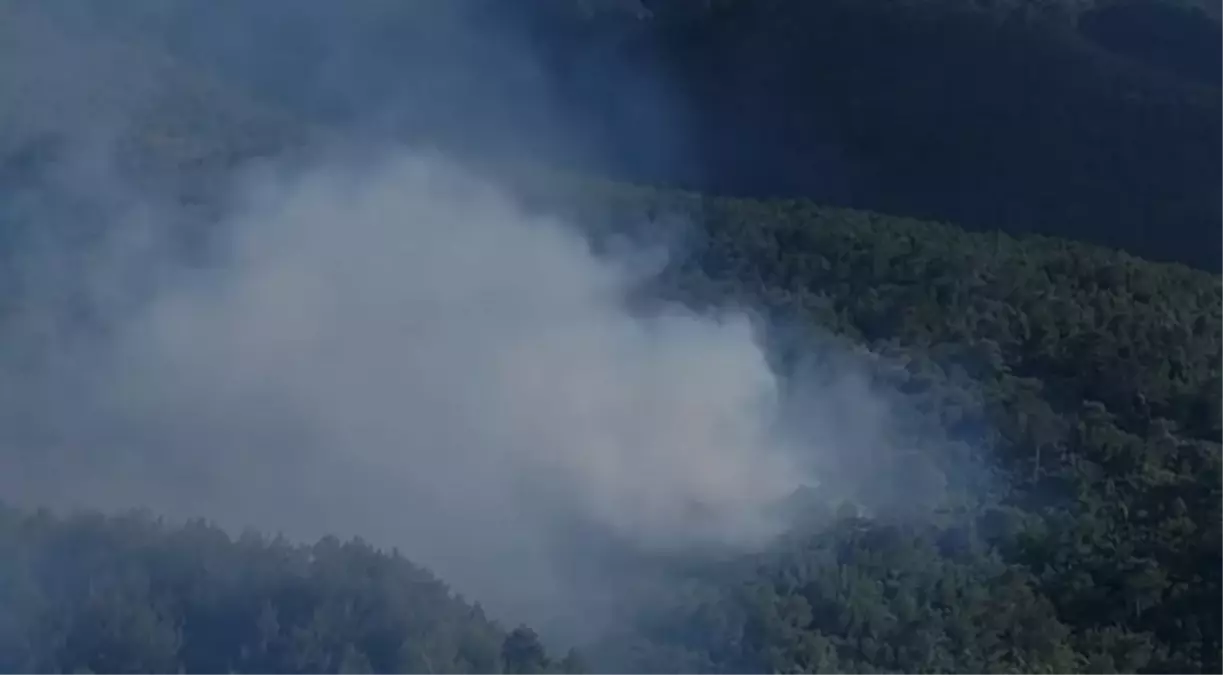 Hatay'da Orman Yangını Kontrol Altına Alındı