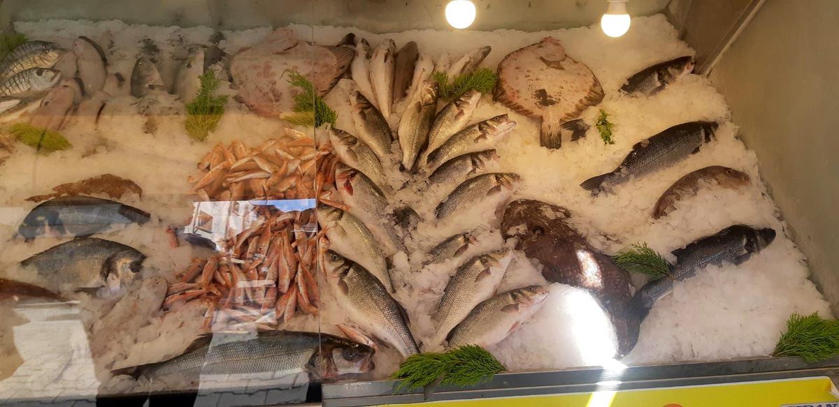 İzmir'de Su Ürünleri Denetimlerinde Cezalar ve El Koymalar