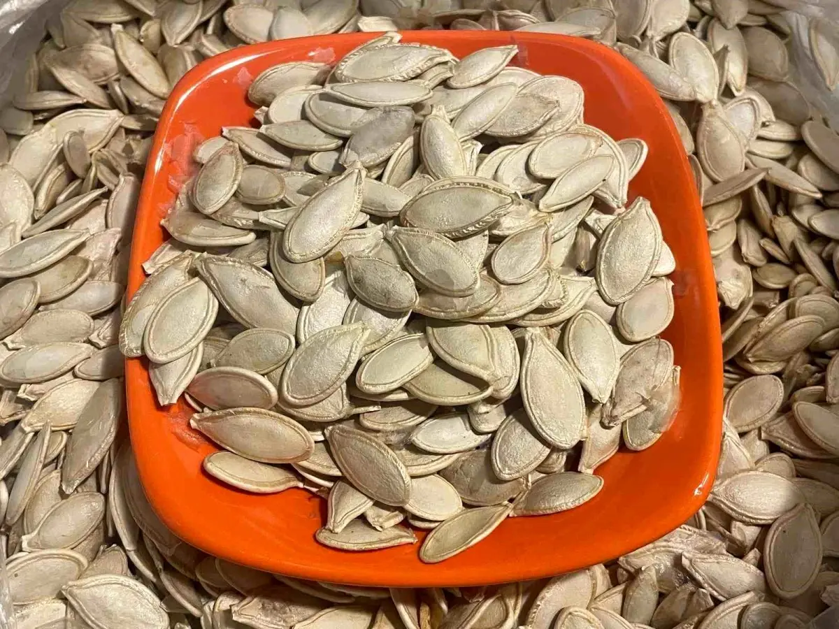 Gıda Güvenliği Uyarısı: Salmonella ve Bacillus cereus Bulaşmaları