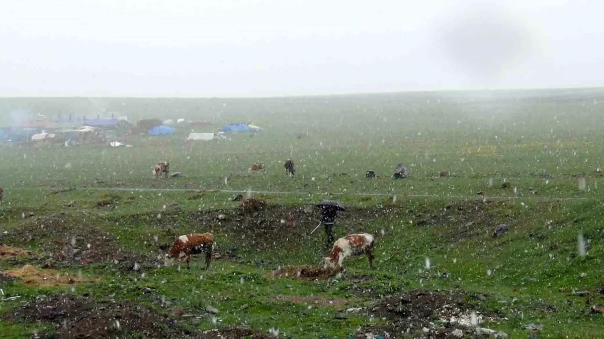 Kars'ta Mayıs ayında beklenmedik kar yağışı