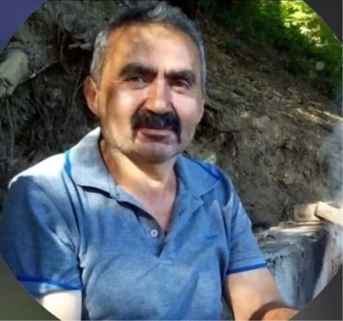 Bolu'da Ağaç Kesimi Sırasında İşçi Hayatını Kaybetti