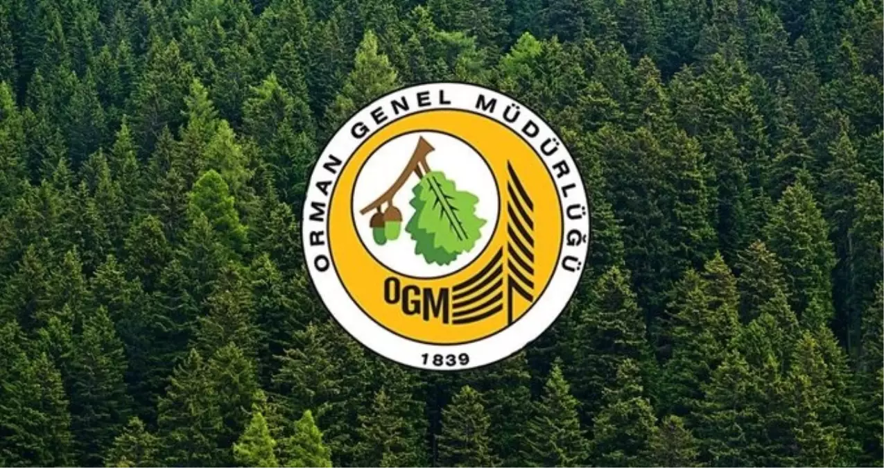 Orman Genel Müdürlüğü SONUÇ EKRANI: OGM 3 bin 477 personel alımı sonuçları açıklandı mı, ne zaman belli olacak? (14 Mayıs 2025)