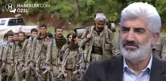 PKK'nın fesih kararı sokağa nasıl yansıdı? GENAR Başkanı Aktaş, masasına gelen son anketi paylaştı