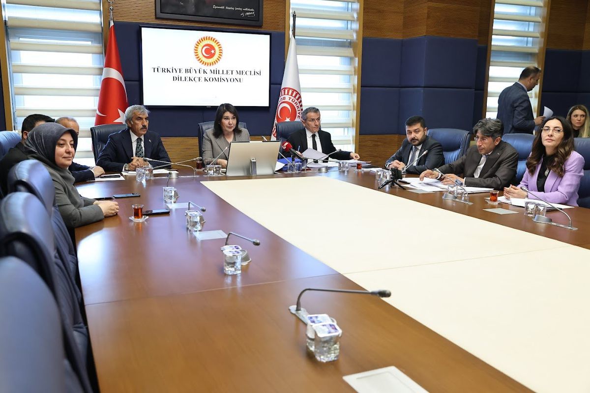 TBMM Dilekçe Komisyonu'na 18 bin 949 başvuru yapıldı