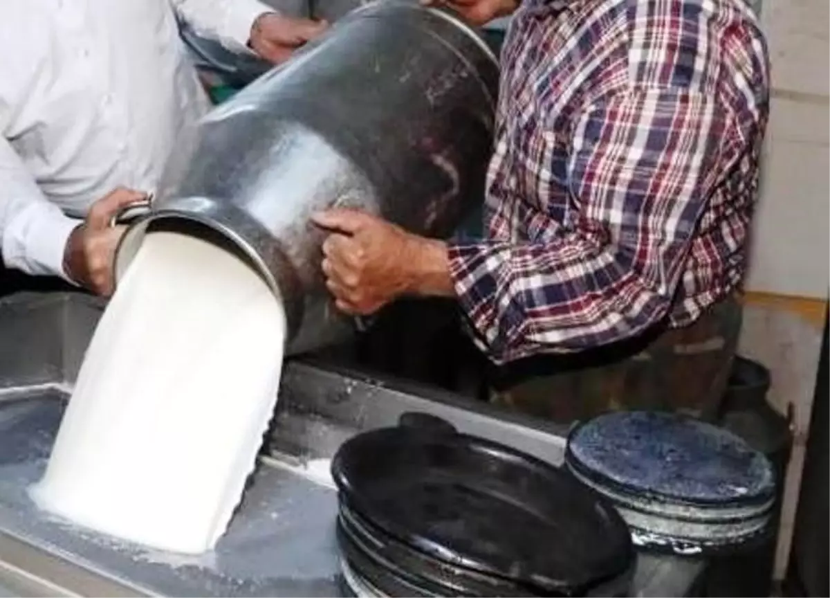 Mart Ayında İnek Sütü Toplama Miktarı %13,2 Arttı