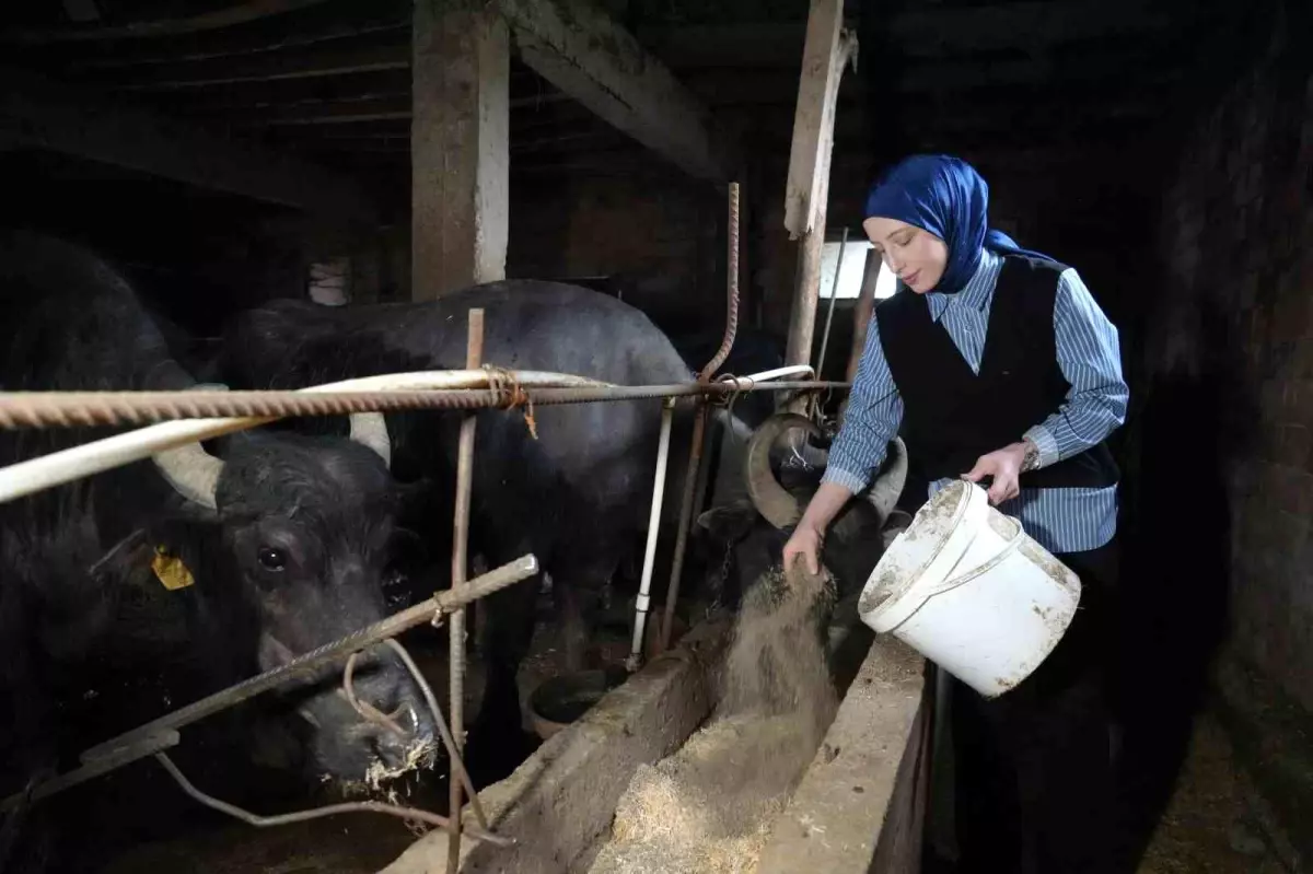 Mart ayında inek sütü üretimi ve toplama miktarı arttı