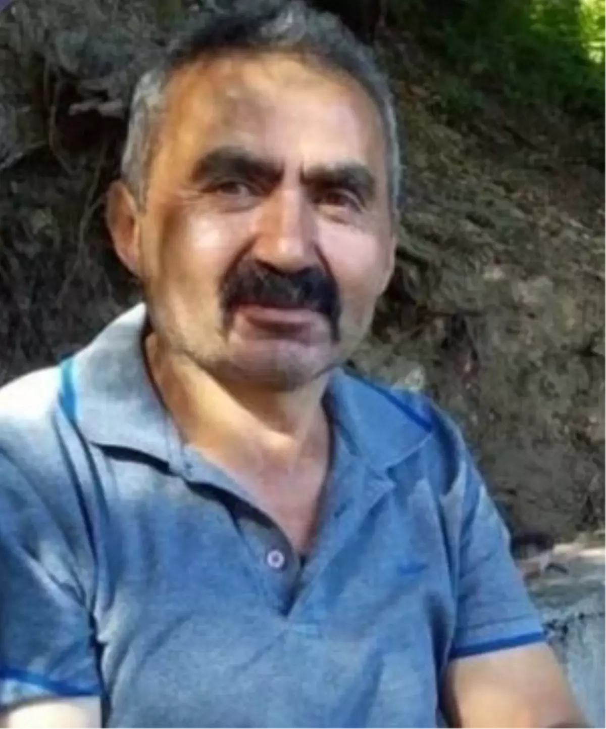 Bolu'da Ağaç Kesimi Sırasında İşçi Hayatını Kaybetti