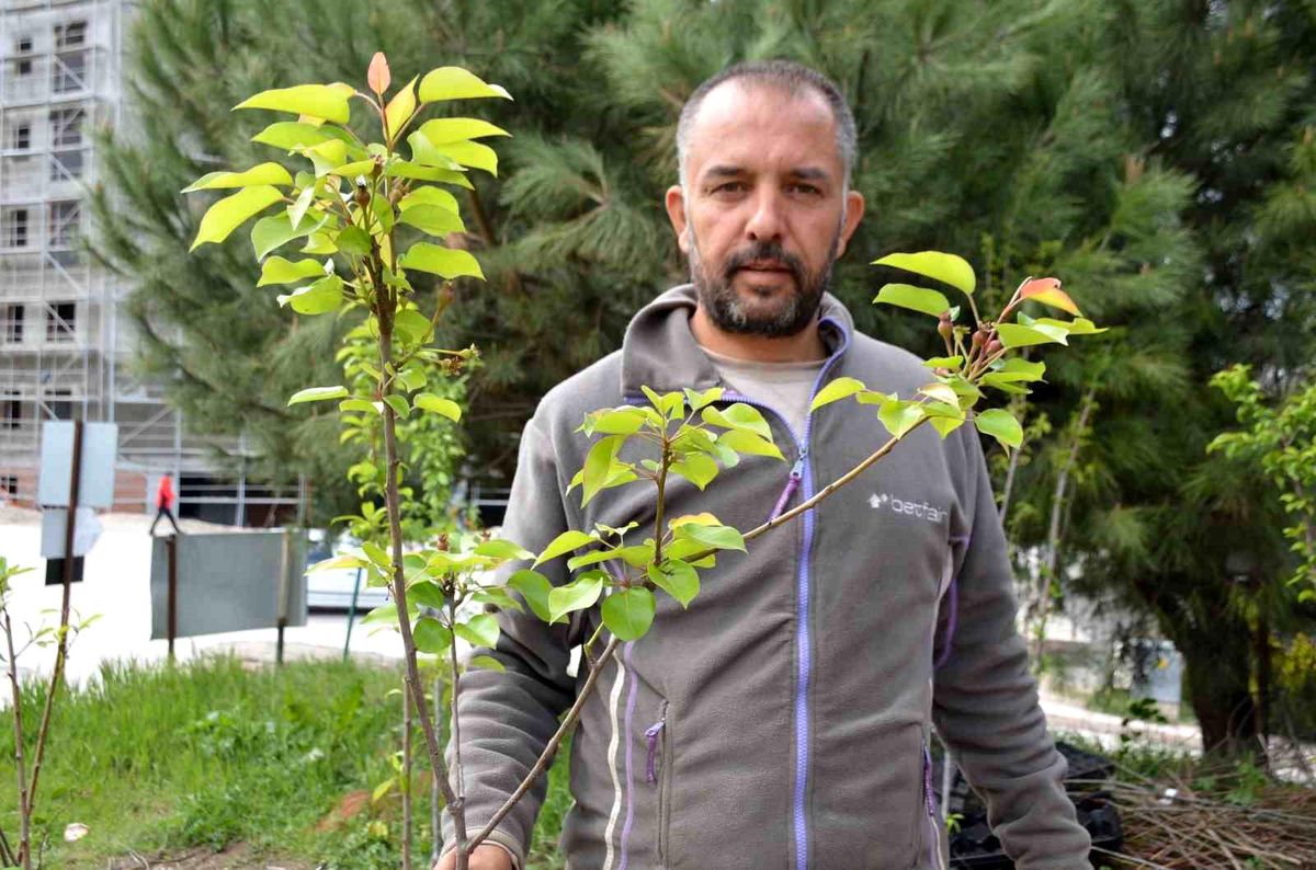 Dededen Toruna Fidancılık: Volkan Ayaz'ın Aile Mesleği