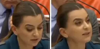 DEM Partili Koçyiğit Kürtçe konuştuğu sırada mikrofonu kapatıldı