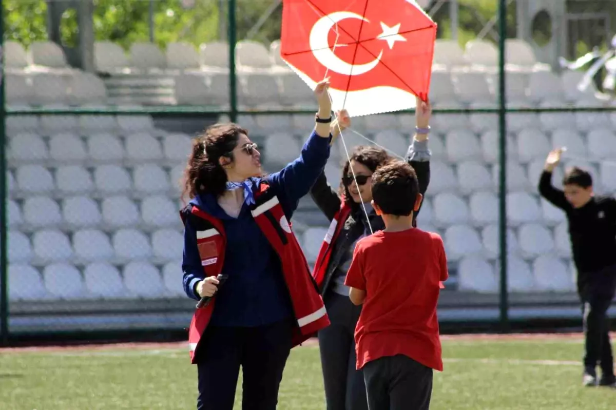 Tosya'da Uçurtma Şenliği Coşkusu