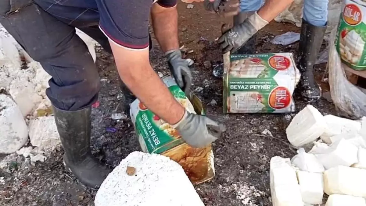 İzmir'de Tarihi Geçmiş Bozuk Süt Ürünleri Ele Geçirildi